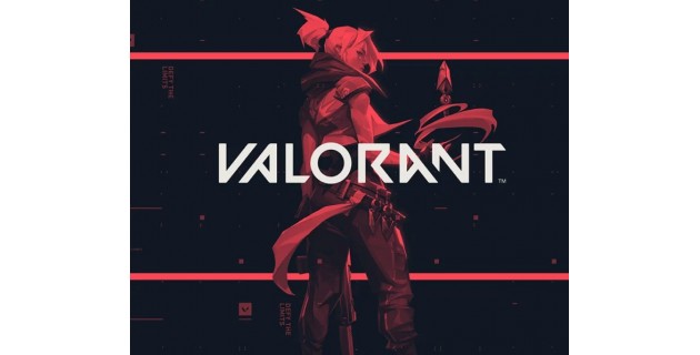 Valorant 295 VP Valorant 295 VP